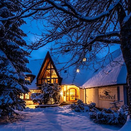 Landhaus Amselhof Hinterzarten Ngoại thất bức ảnh