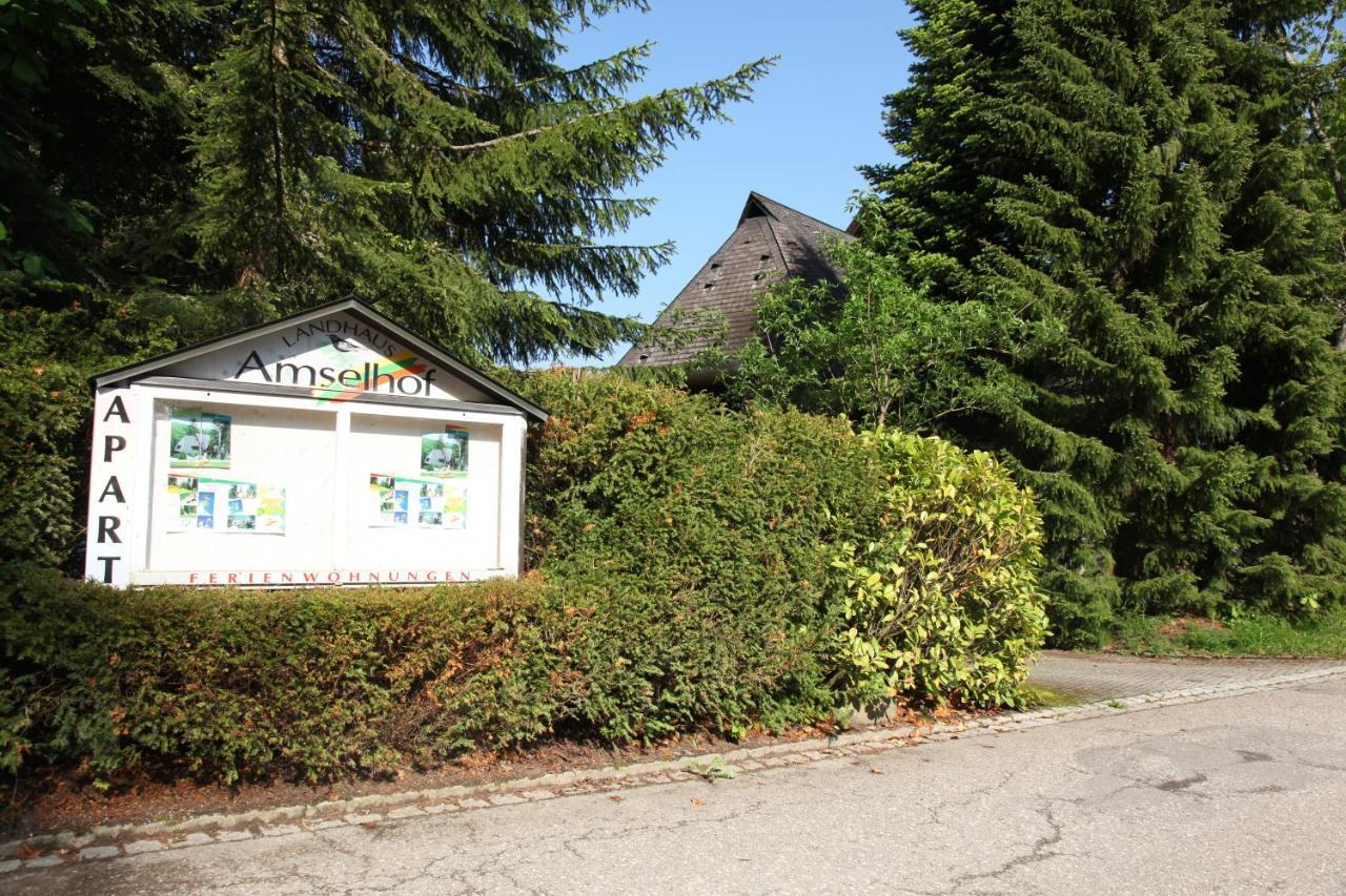 Landhaus Amselhof Hinterzarten Ngoại thất bức ảnh