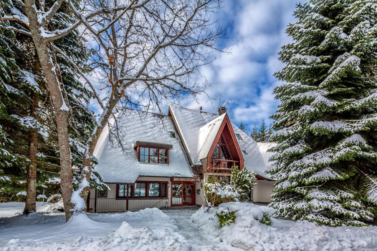 Landhaus Amselhof Hinterzarten Ngoại thất bức ảnh
