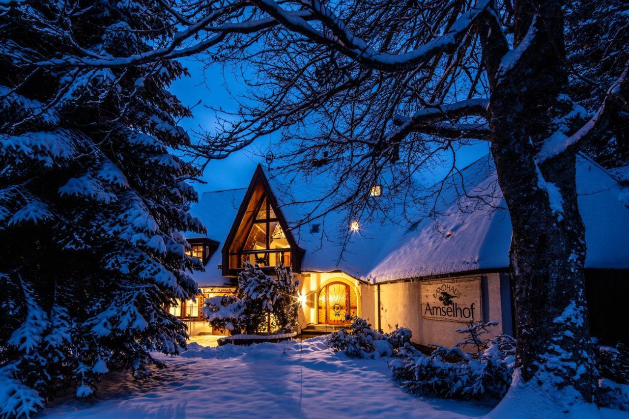 Landhaus Amselhof Hinterzarten Ngoại thất bức ảnh